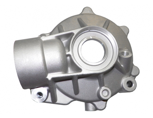 0181-312001-00001 FRONT GEAR CASE COVER