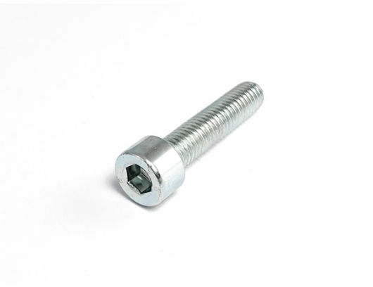 30102-080035810 SCREW