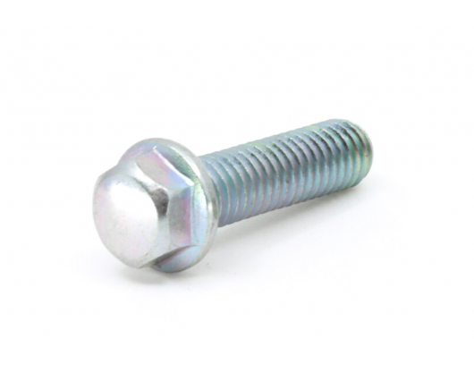 0010-080013-0010 BOLT M6x22 (0010-080013-0030)