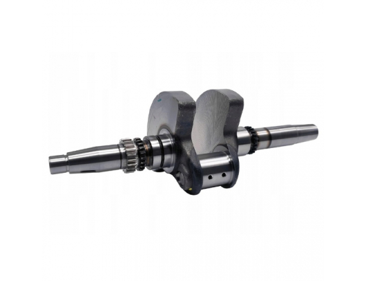 0JYA-041000-10022 CRANKSHAFT ASSY