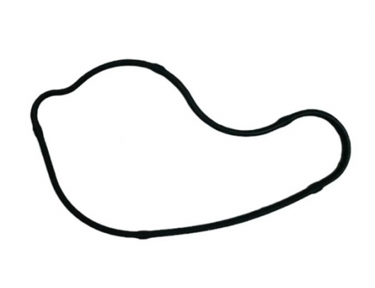 0DM0-080003 SEAL RING, WATER PUMP COVER