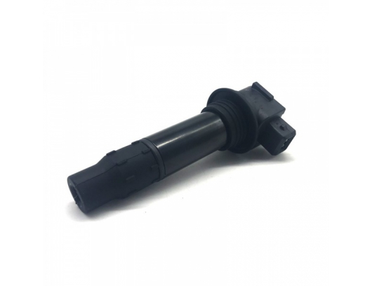 0DM0-178000 IGNITION COIL