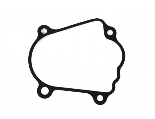 0GR0-065003 METAL GASKET, SECTOR GEAR (0180-065003)
