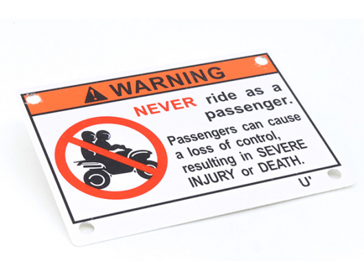 9010-190004 WARNING LABEL, PASSENGER