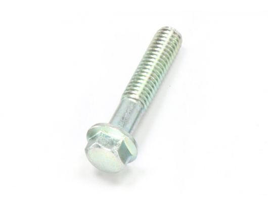 0010-060012-0010 Bolt M6x30 (0010-060012-0030)