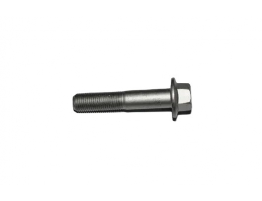 30001-122060160 BOLT M10x1.25x60