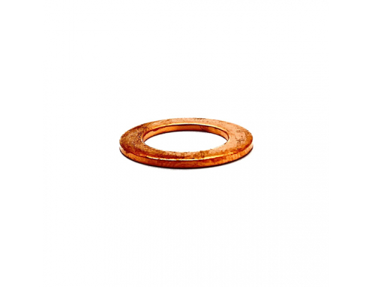 5812232 Washer Indian Scout Oil bolt