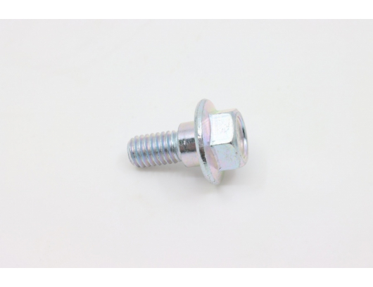 8010-000004 BOLT M6x12