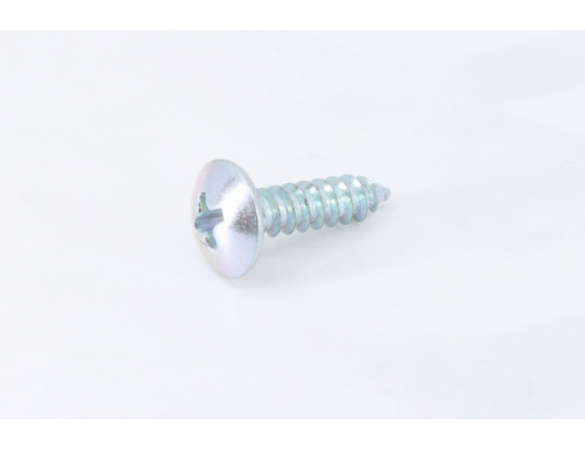30110-420160010 SELF-TAPPING SCREW