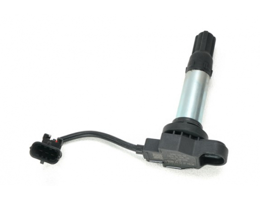 C90039006100 IGNITION COIL