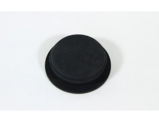 6NT1-060003 DUST CAP, SMALL