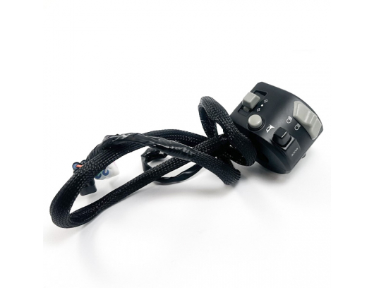 6NQV-166000-6200 HANDLEBAR SWITCH ASSY, LH