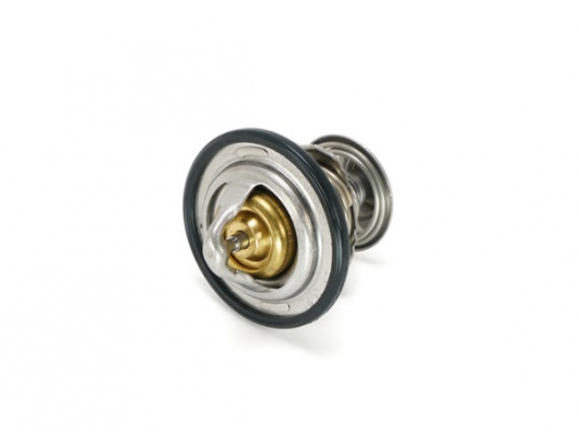 C90035017000 THERMOSTAT 76°C
