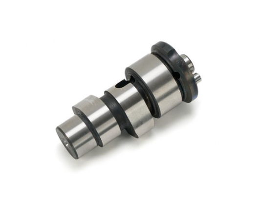 0GSV-024010-3000 CAMSHAFT