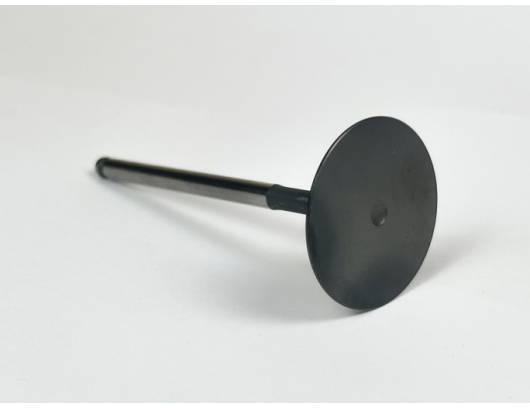 0JYV-022004-4000 INTAKE VALVE
