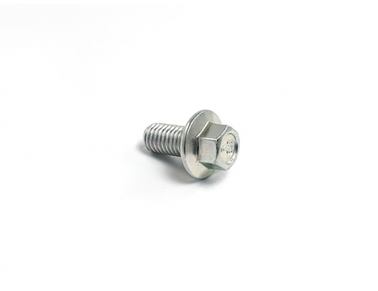 30023-080016810 BOLT
