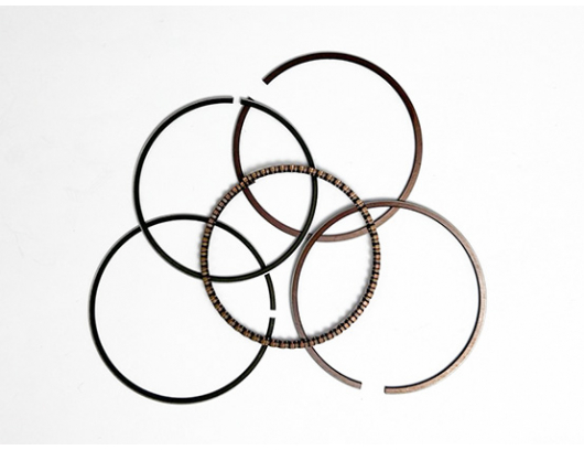 L-130070019-0001 PISTON RING ASSY