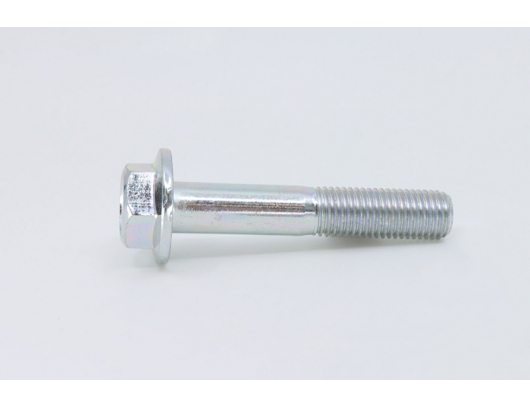 30006-102055810 BOLT M10x1.25x55