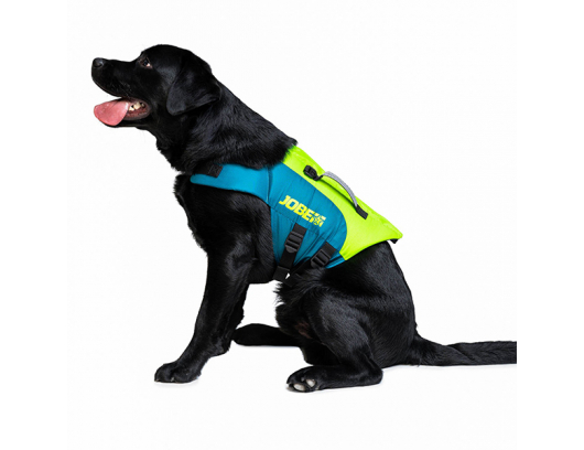 JOBE Pet Vest Lime/Teal