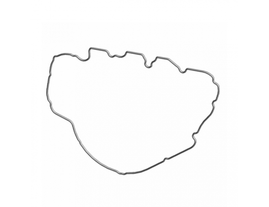 5415984 GASKET-ACG INNER