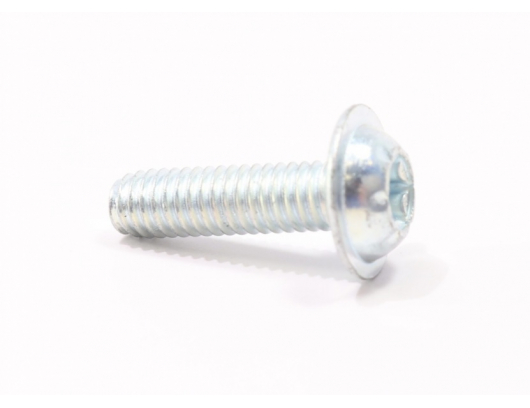 0GR0-052006 SCREW