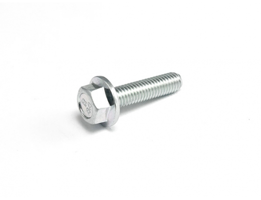 30006-050020810 BOLT