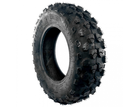 Padanga 19 x 6.00-10 TIRE 30703-1001 CFORCE EV110