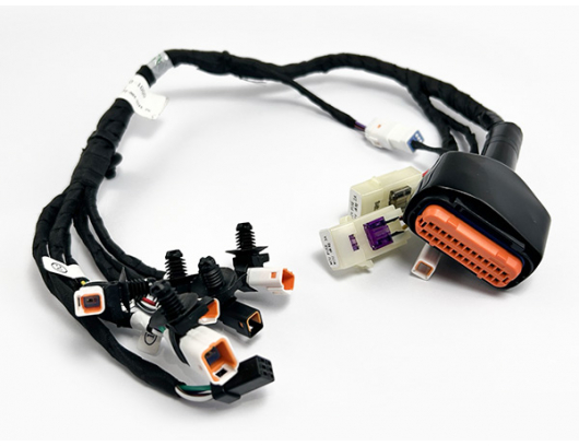 ED2V-150100-1000 MAIN CABLE