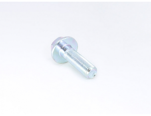 30006-102035810 Bolt