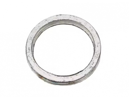 6090-020010 GASKET, EXHAUST PORT