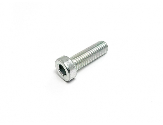 6WWV-050009-5000 SCREW M8x25
