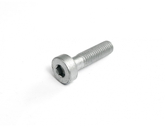 6WWV-050011-5000 INNER HEX SCREW M8x30