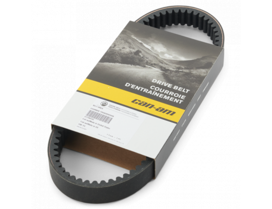 Variatoriaus diržas Performance Drive Belt 422280283