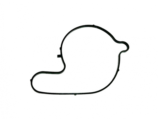0JWV-080004-3000 SEAL RING, WATER PUMP COVER