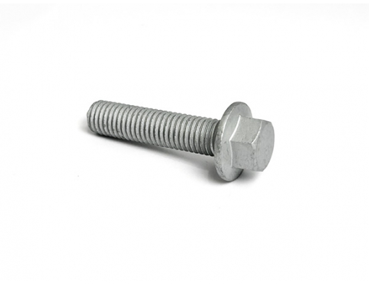 30023-100045160 BOLT