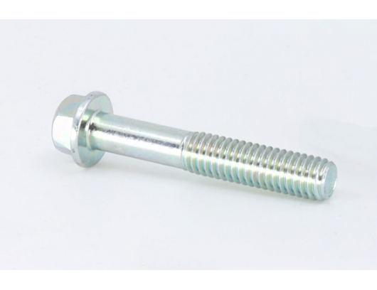 0010-013008-0010 BOLT M6x35