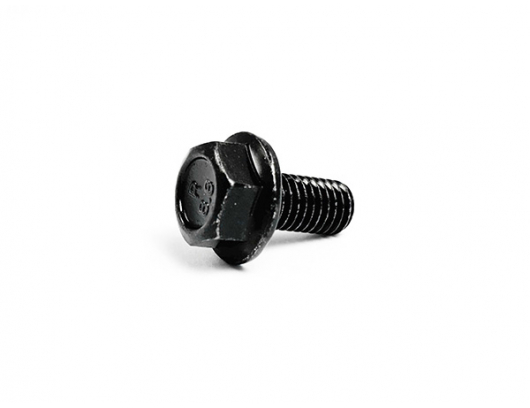 30006-080016870 BOLT