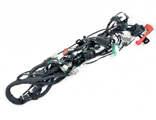 6AQV-150100-6200 MAIN CABLE