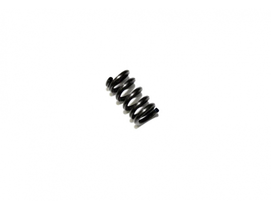5190-037813 SPRING