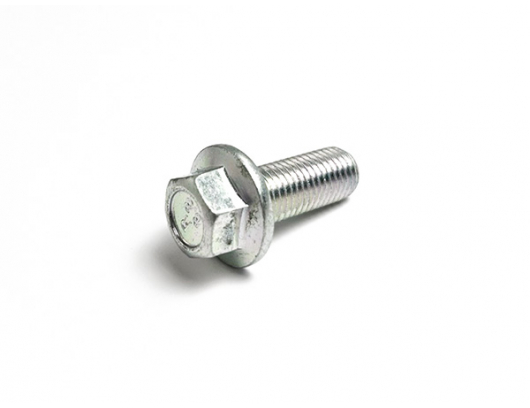30001-102025810 BOLT M10x1.25x25