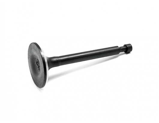 CF-852021-01060 AIR EXHAUST VALVE