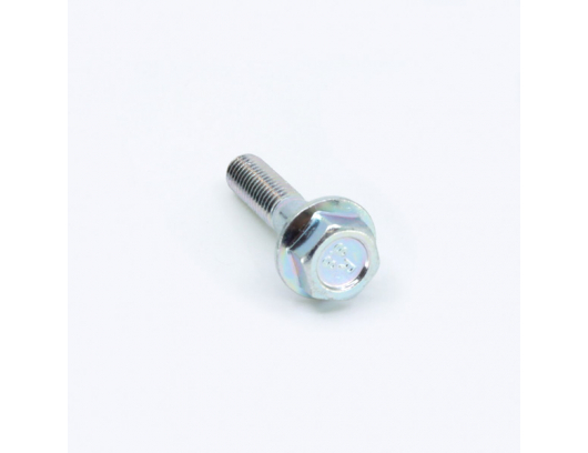 30006-080035810 BOLT