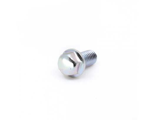 0010-021019-0010 BOLT M6x12