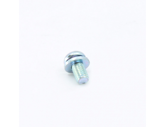 30112-060012410 SCREW ASSY