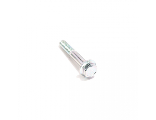 30006-080050810 BOLT
