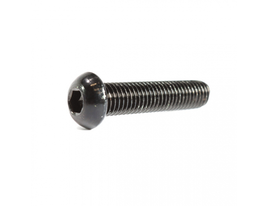 30121-100045170 SCREW