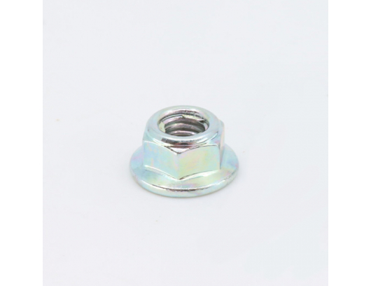 30204-060810 NUT