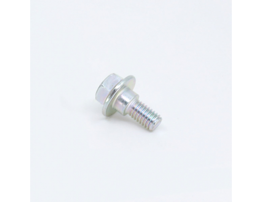 8010-000005-2000 BOLT M6x17