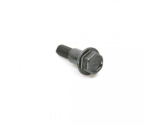 8010-040038 BOLT M6x22