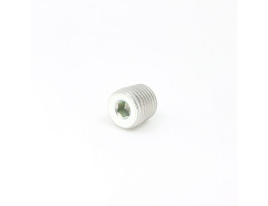 0800-011006-00001 SCREW PLUG